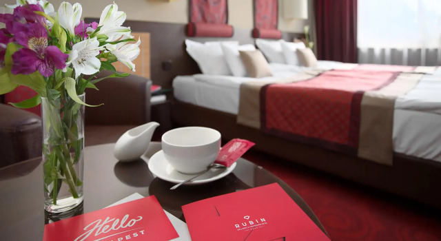 Двухместный номер Standard Rubin Wellness & Conference Hotel