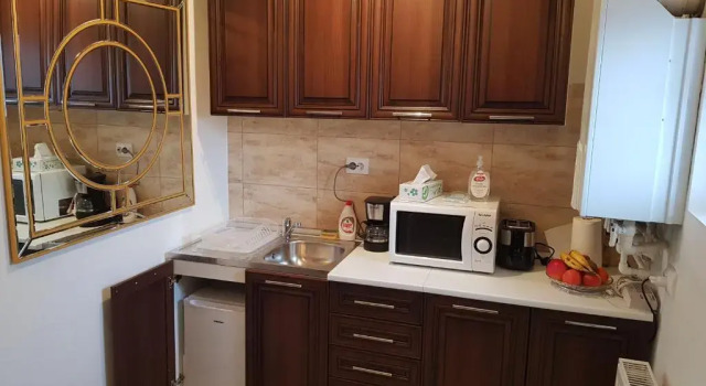 Апартаменты Garsoniera Mihaela