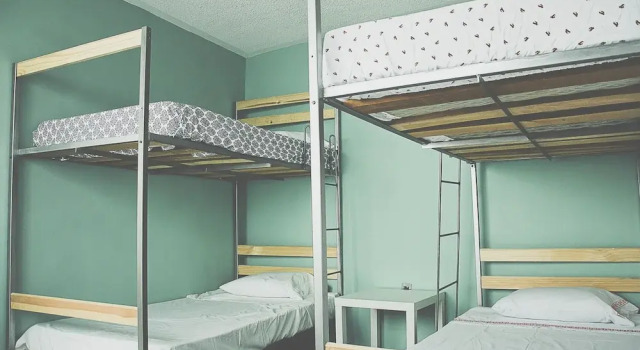 Monkey Safari Hostel, Book Hostel Hostels in El Bajio, Hostel