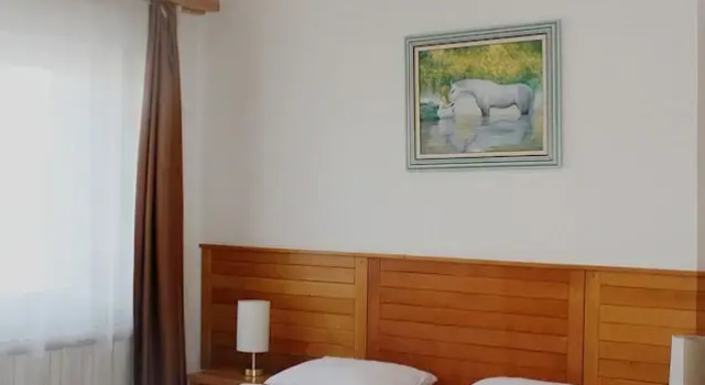 Hotel Borovi Sjenica, Buchen Sie Hotel Sjenica Zentralserbien