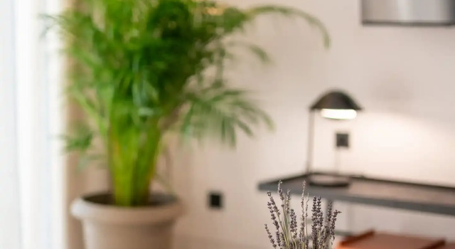 Люкс Comfort Memphis Suites