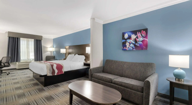 Двухместный люкс Best Western Medical Center North Inn & Suites Near Six Flags