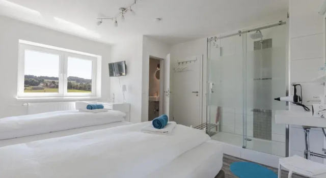 Двухместный номер Standard HOTEL SPATZENNEST Vogelsberg