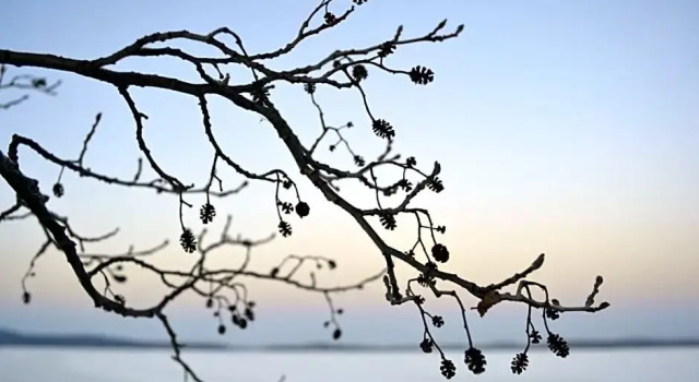 Loikansaari Lomamökit Holiday Cottages, Забронировать Отель Каллислахти Южное Саво