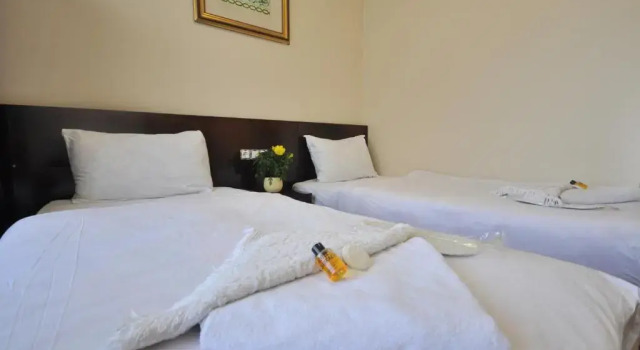 Двухместный номер Standard Hotel Baykal