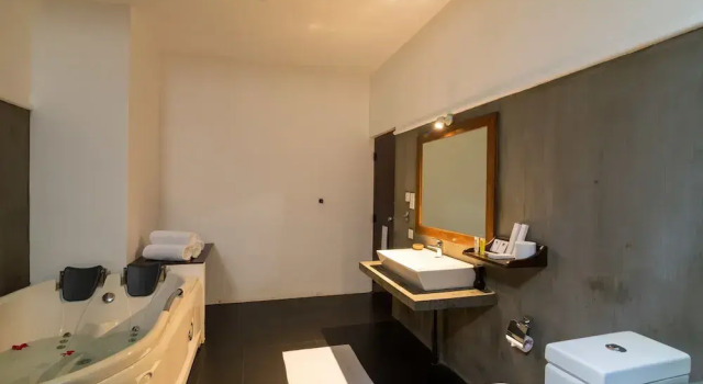 Двухместный номер Deluxe с балконом Camellia Resort and Spa