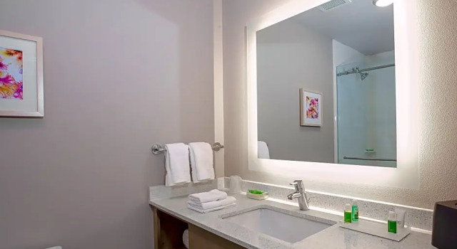Номер Premium Holiday Inn Tallahassee E Capitol - Univ by IHG