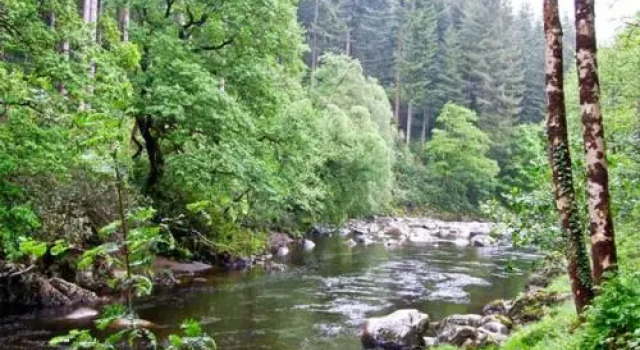 Bryn Cemlyn, Rezervați Casă de vacanță Ganllwyd Glamorgan