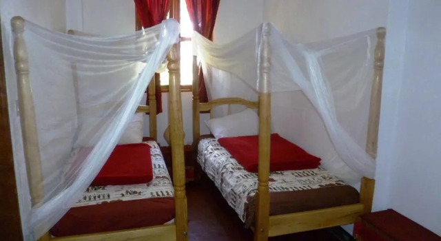Двухместный номер Standard Alison & Daves Guesthouse