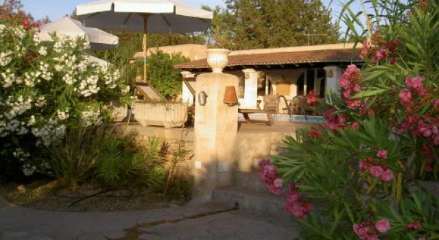 Номер Standard Can Vistabella Boutique Resort