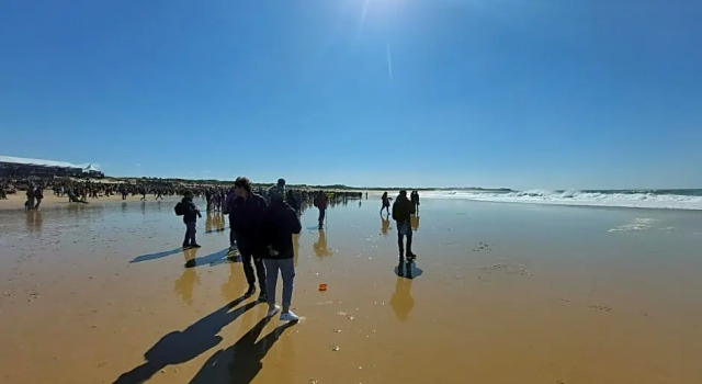 Peniche Hostel, Book Hostel Hostels in Oeste, Hostel