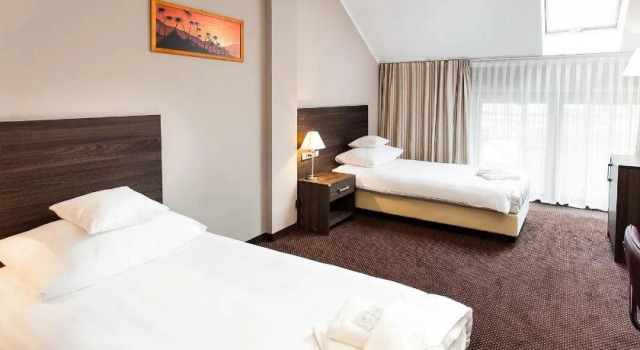 Hotel Viki