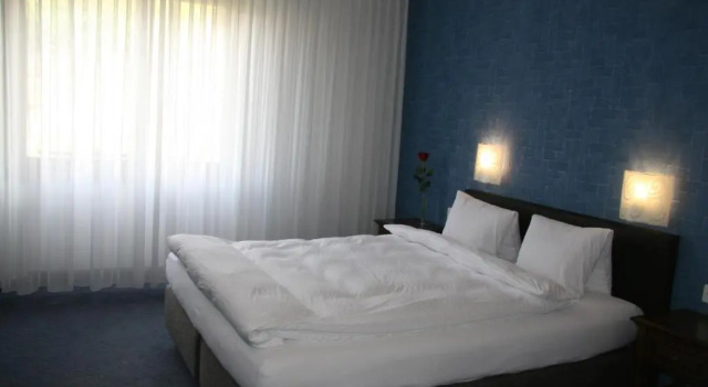 Двухместный номер Comfort Hotel Eremitage