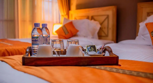 Standard Double room Savannah Suites