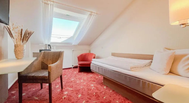 Одноместный номер Economy Hotel-Restaurant Vier Linden