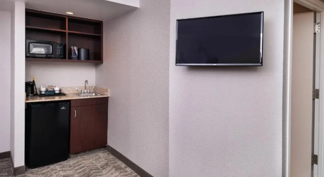 Двухместный люкс Executive c 1 комнатой SpringHill Suites by Marriott Pittsburgh North Shore