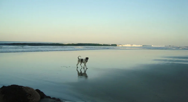 You Imagine Costa Rica Our Location Being on the Beach is What You Imagine, Rezervați Casă de vacanță Playa Flamingo Guanacaste