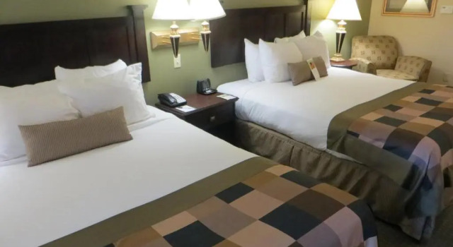 Четырёхместный номер Standard Wingate by Wyndham Peoria - Complimentary Area Shuttle