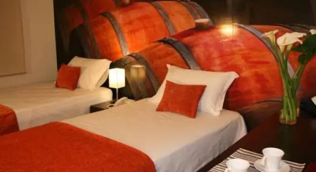 Номер Standard Terravina Hotel del Vino