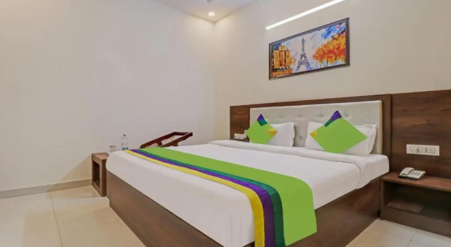 Номер Economy Treebo Magnum Chandigarh