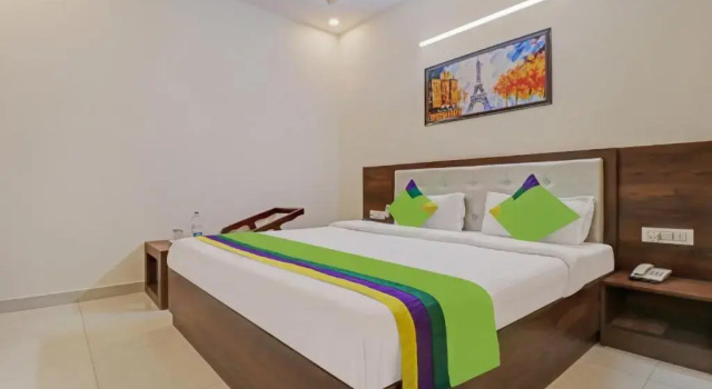 Номер Standard Treebo Magnum Chandigarh
