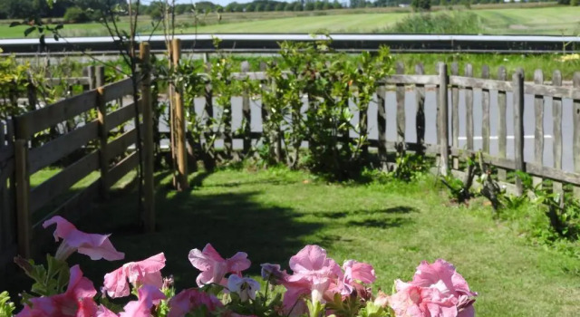 Апартаменты Bed & Breakfast Boszicht Leeuwarden