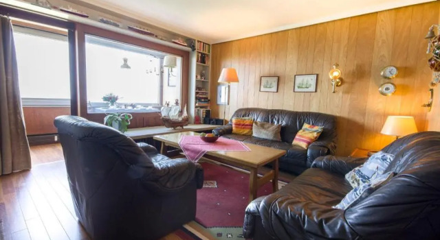 Haus-Seehund-15
