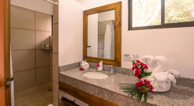 Номер Superior Hacienda Guachipelin Volcano Ranch Hotel & Hot Springs