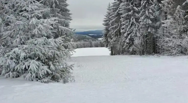 Коттедж Engenstein Woodland Escape