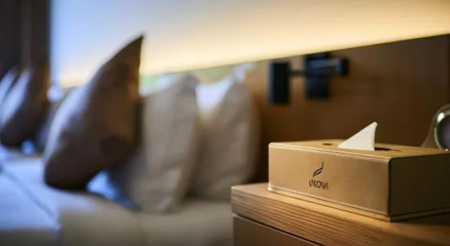 Номер Superior dSora Boutique Business Hotel