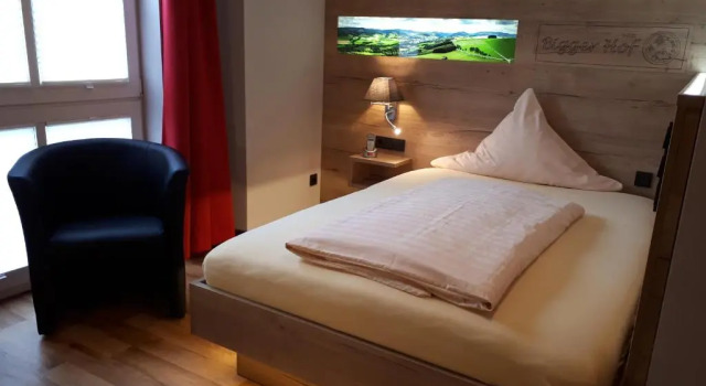 Номер Deluxe Hotel Bigger Hof - Wirtshaus Platzhirsch am Jahnplatz