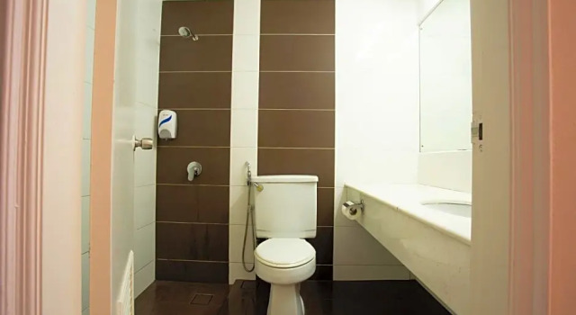 Двухместный номер Deluxe Somerset Hotel