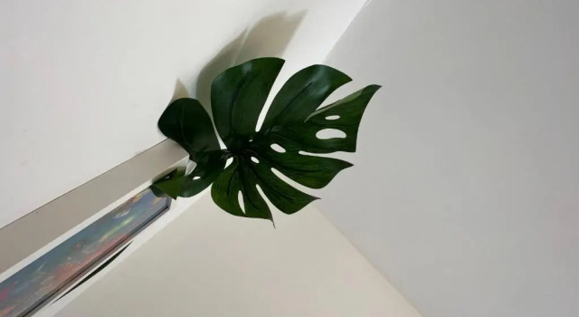 Апартаменты Tropical Apartment, 10 min from Blackpool tower, outside space, sleeps 12