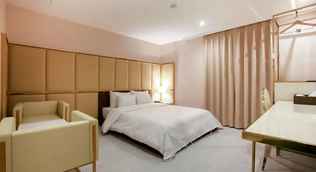 Номер Deluxe Hotel Star Premier Yeoksam