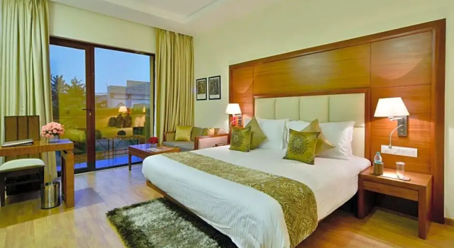 Люкс The Nikunj Hotels