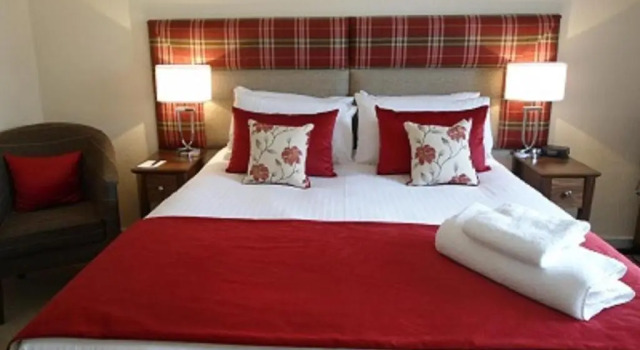 Двухместный номер Standard Park Hotel