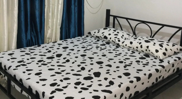 Daka Apartelle