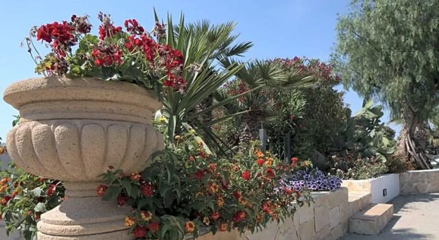 Номер Superior Villa Carlo Resort