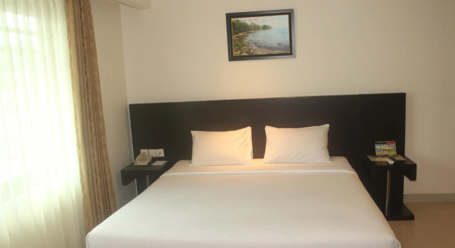 Номер Deluxe Manise Hotel