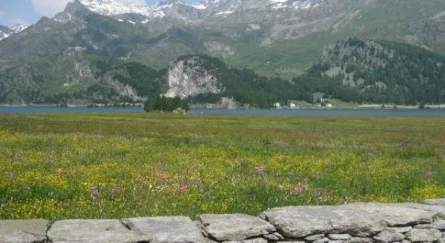 La Chesa Engiadinaisa, Book Hotel Sils im Engadin-Segl 