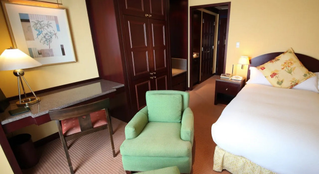 Одноместный номер Standard Mito Plaza Hotel