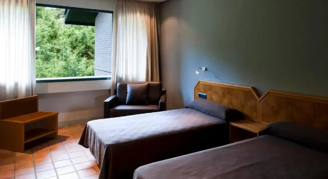 Standard Twin room AS Hoteles Altube