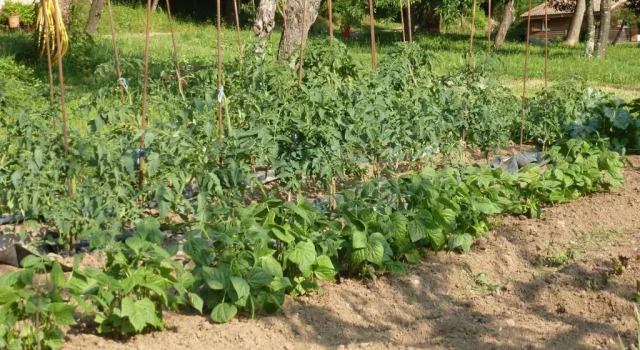 Domaine Lou Cevenol