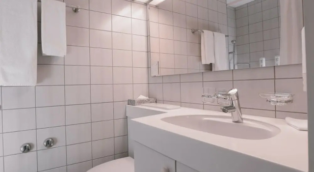 Одноместный номер Comfort Hotel Thurgauerhof Self-Check-in