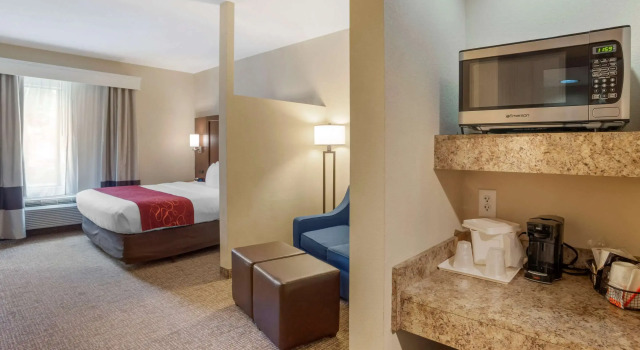 Двухместный люкс Comfort Suites Fredericksburg North