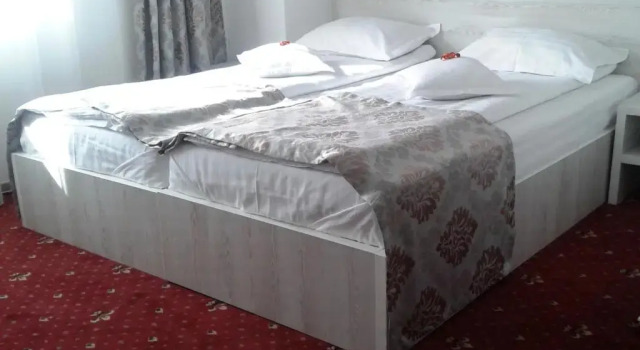 Standardní pokoj Hotel Orhideea