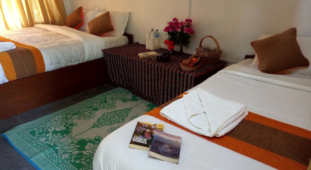 Номер Deluxe Rhino Lodge Bardia