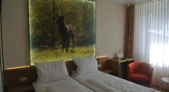 Двухместный номер Standard Hotel Jägerhof