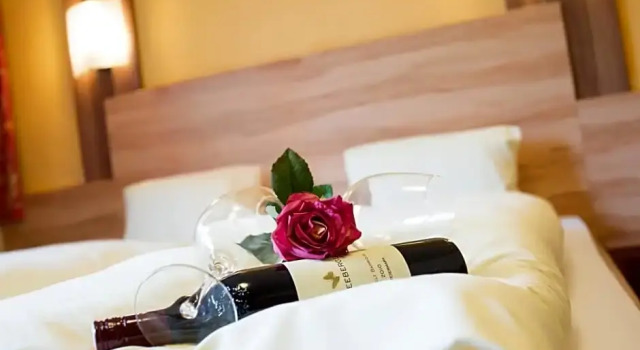 Номер Superior Hotel Schladmingerhof