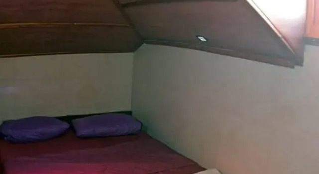 Номер Standard New Palm Hotel & Hostel
